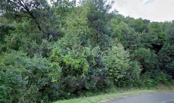 terreno agricolo in vendita a Montecatini Val di Cecina