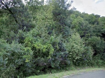 terreno agricolo in vendita a Montecatini Val di Cecina