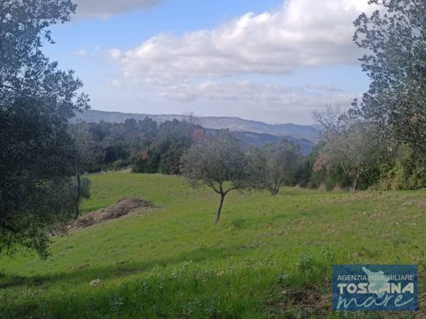 terreno agricolo in vendita a Montecatini Val di Cecina