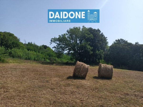 terreno agricolo in vendita a Montecatini Val di Cecina in zona Ponteginori
