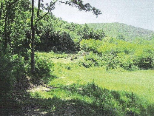 appartamento in vendita a Montecatini Val di Cecina in zona Ponteginori