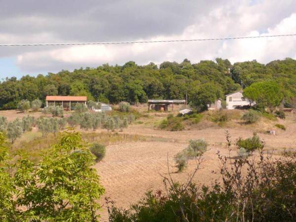negozio in vendita a Montecatini Val di Cecina in zona Ponteginori