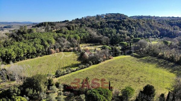 ufficio in vendita a Montescudaio