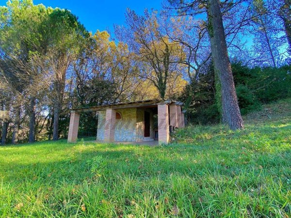 terreno agricolo in vendita a Montescudaio