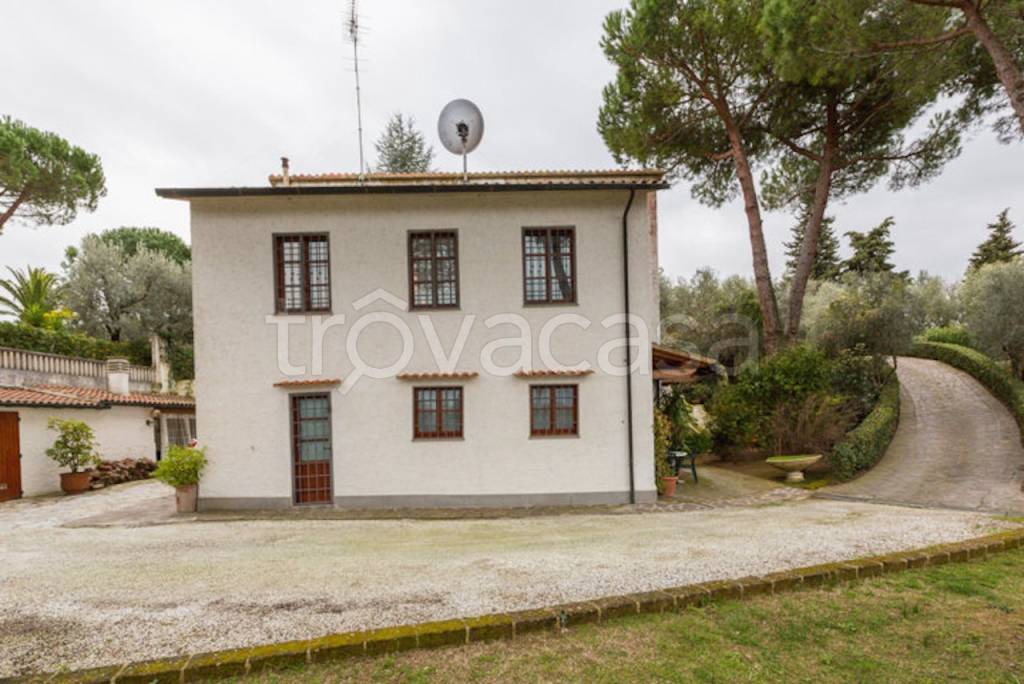 casa indipendente in vendita a Montescudaio