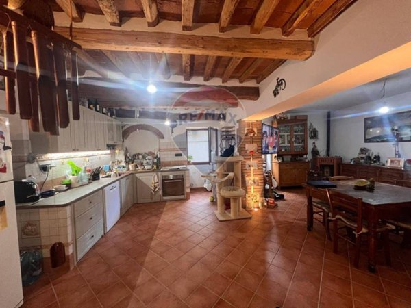 casa indipendente in vendita a Montescudaio