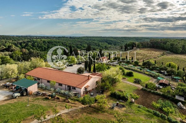 negozio in vendita a Montescudaio