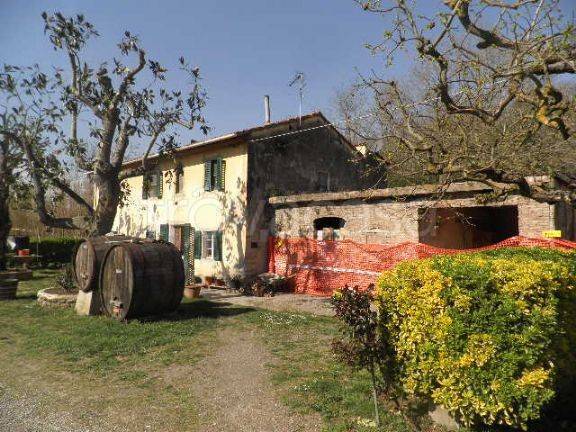 azienda agricola in vendita a Montescudaio