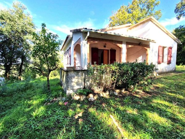 casa indipendente in vendita a Montescudaio