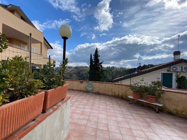 appartamento in vendita a Montescudaio