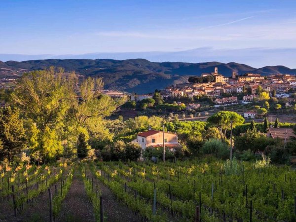 casa indipendente in vendita a Montescudaio