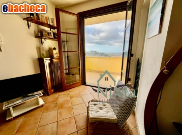 casa indipendente in vendita a Montescudaio