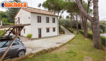 appartamento in vendita a Montescudaio