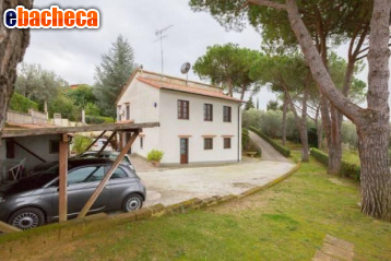 appartamento in vendita a Montescudaio