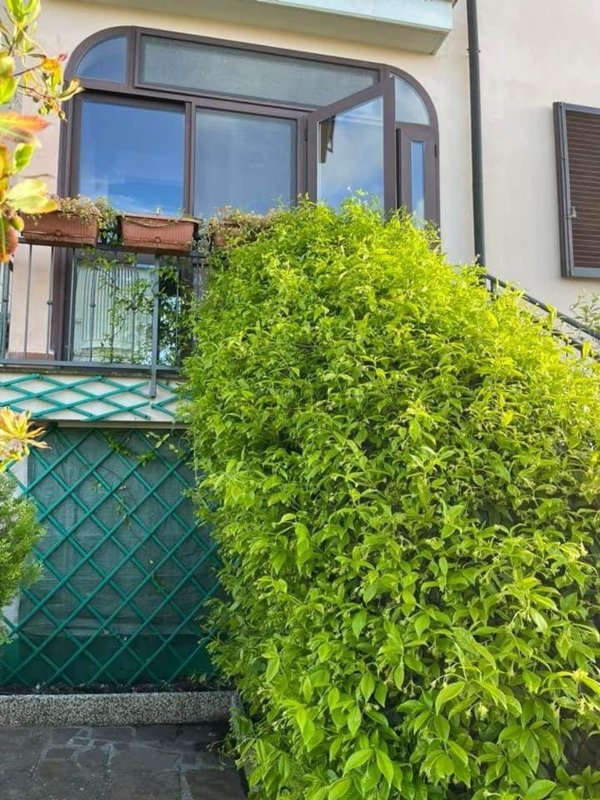 appartamento in vendita a Montescudaio