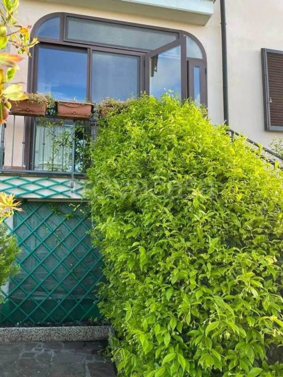 appartamento in vendita a Montescudaio