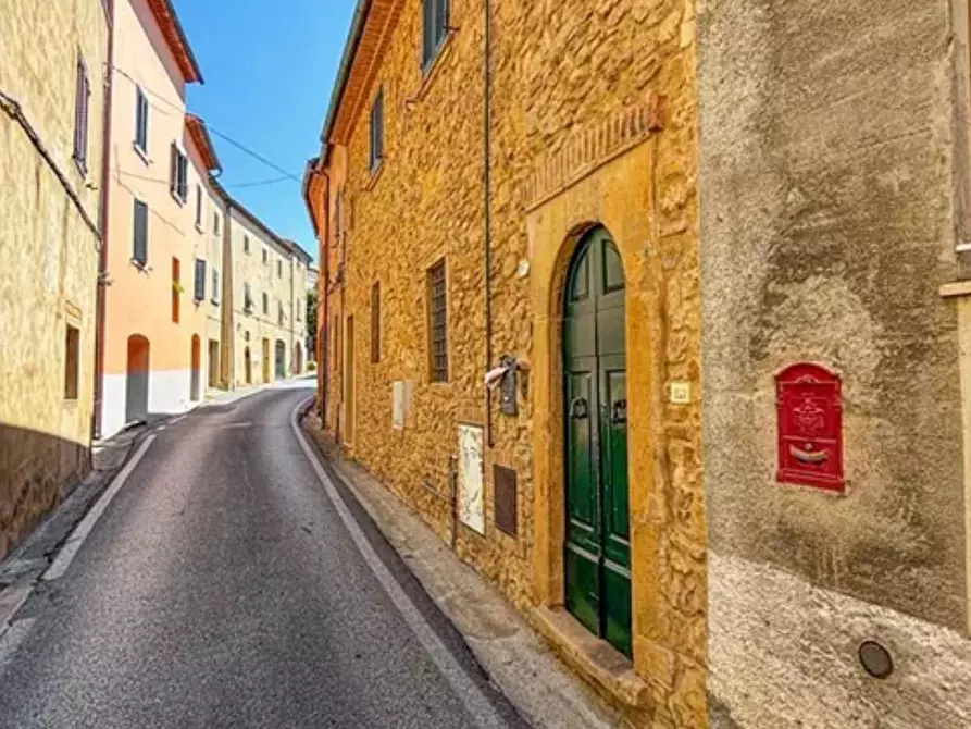 appartamento in vendita a Montescudaio