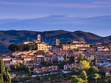 appartamento in vendita a Montescudaio