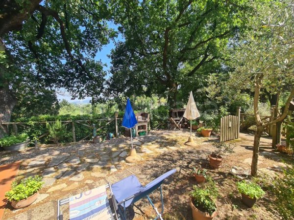 appartamento in vendita a Montescudaio