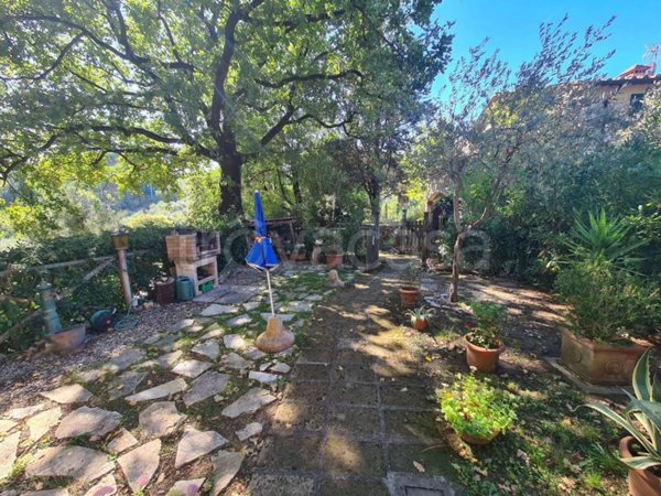 appartamento in vendita a Montescudaio