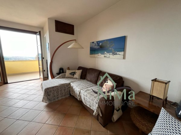 casa indipendente in vendita a Montescudaio