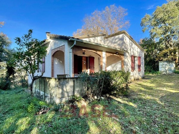 casa indipendente in vendita a Montescudaio