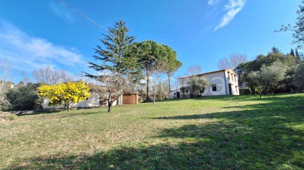 casa indipendente in vendita a Montescudaio