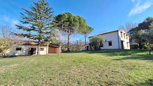 casa indipendente in vendita a Montescudaio