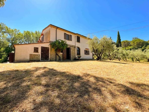 casa indipendente in vendita a Montescudaio