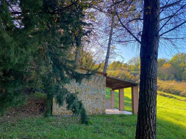 terreno agricolo in vendita a Montescudaio