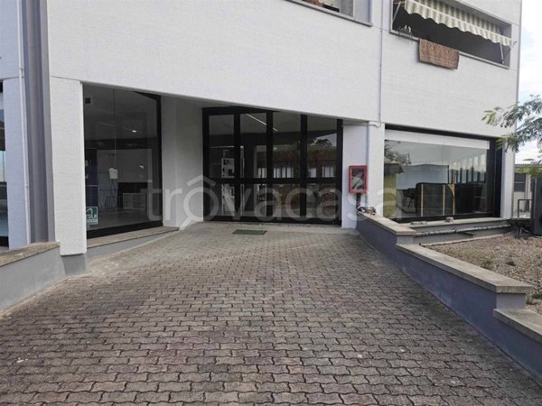 appartamento in vendita a Montescudaio