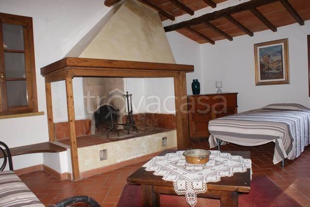 casa indipendente in vendita a Montescudaio