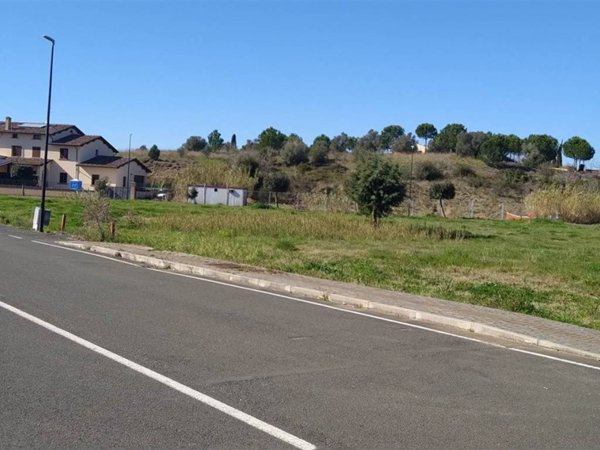 terreno agricolo in vendita a Montescudaio