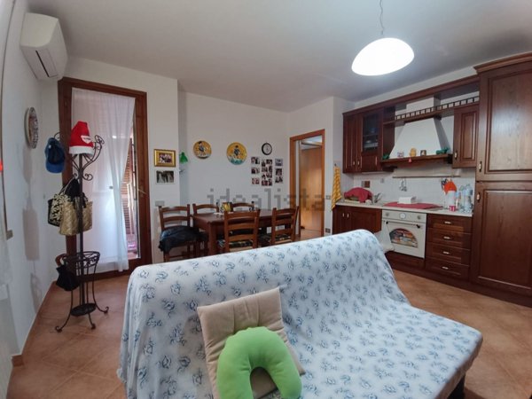 appartamento in vendita a Montescudaio
