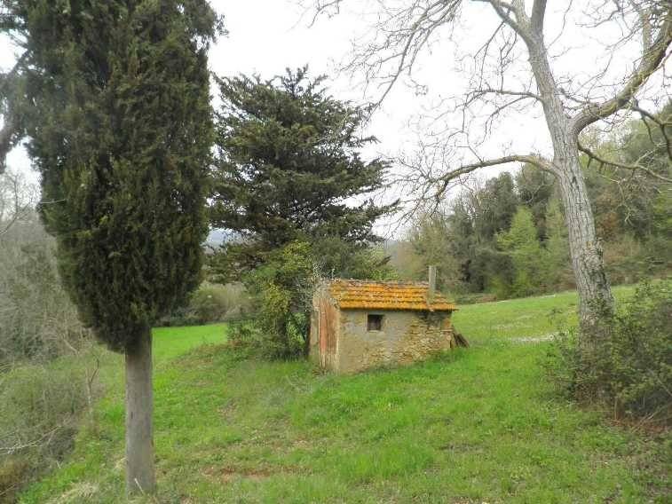 casa indipendente in vendita a Montescudaio