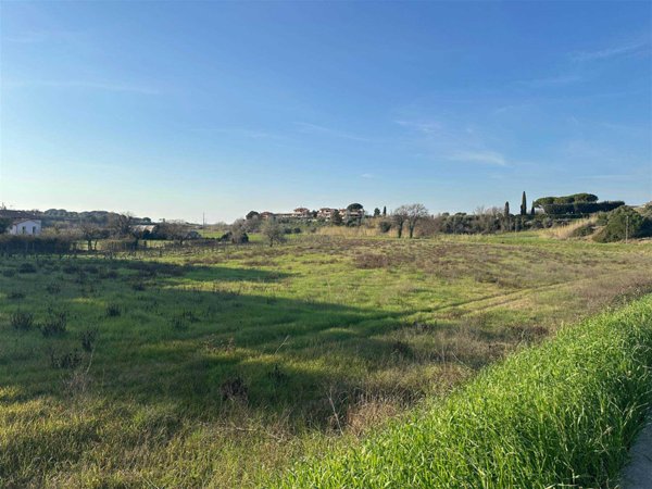 terreno agricolo in vendita a Montescudaio