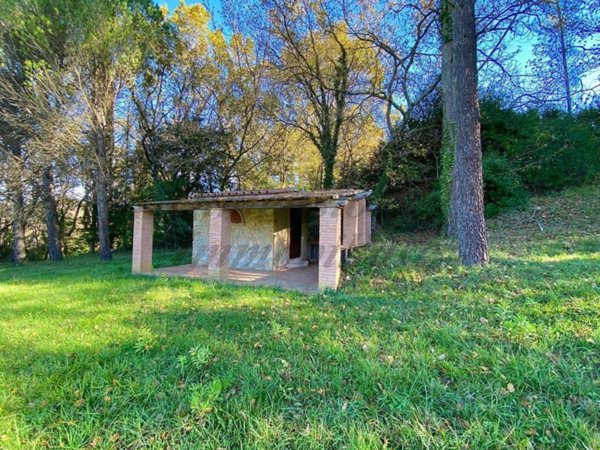terreno agricolo in vendita a Montescudaio