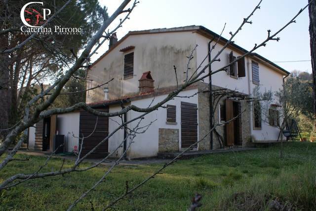 casa indipendente in vendita a Montescudaio