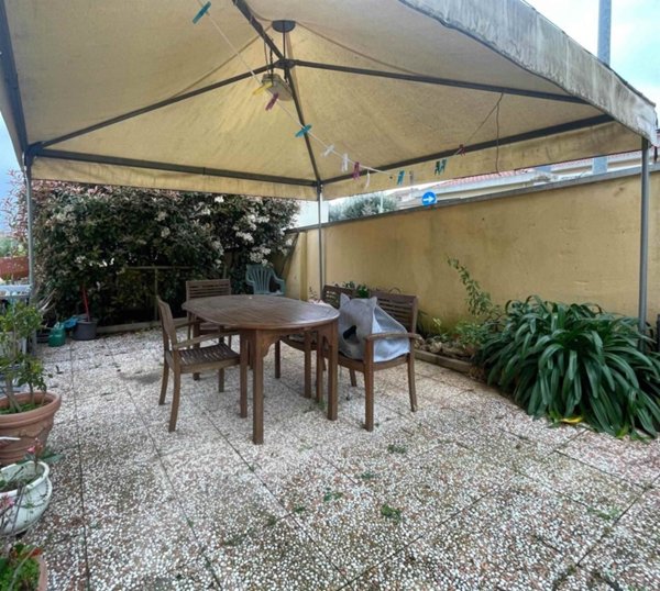 casa indipendente in vendita a Montescudaio