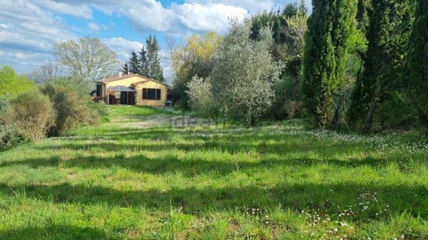 appartamento in vendita a Montescudaio