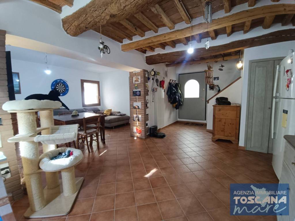 casa indipendente in vendita a Montescudaio