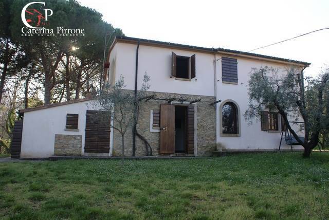 casa indipendente in vendita a Montescudaio