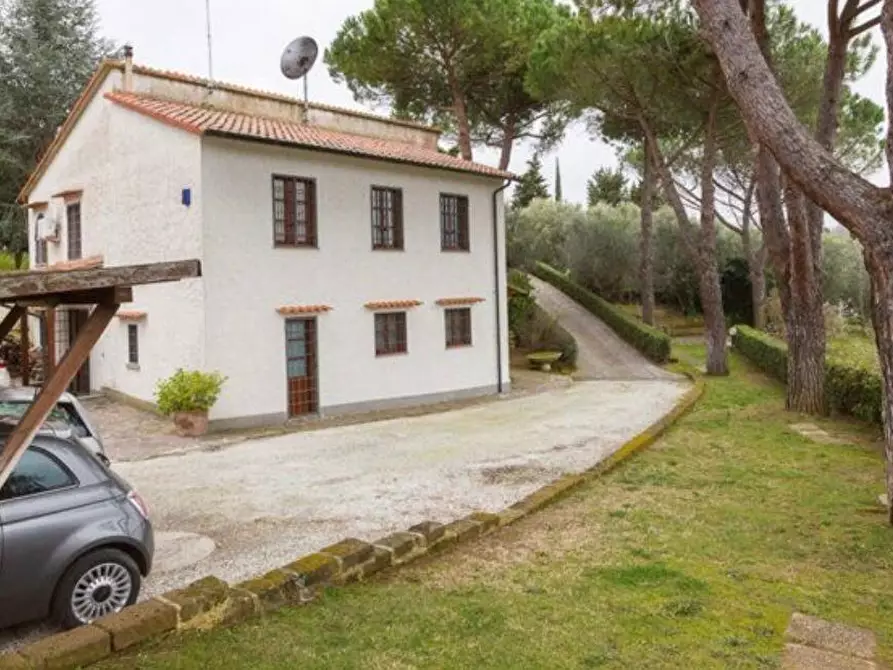 casa indipendente in vendita a Montescudaio