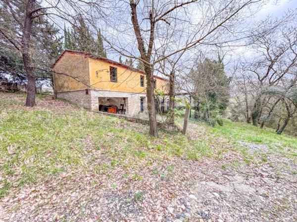 casa indipendente in vendita a Montescudaio