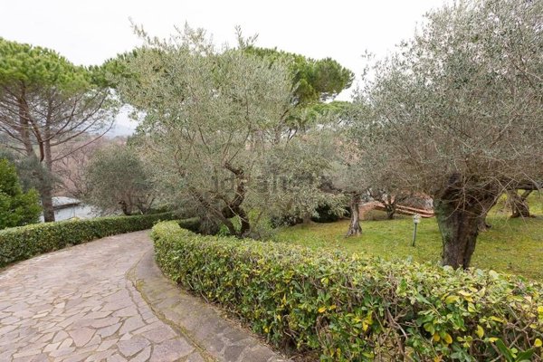 casa indipendente in vendita a Montescudaio