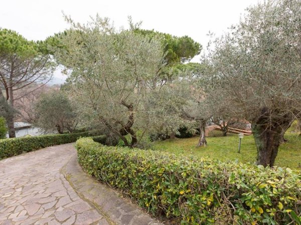 casa indipendente in vendita a Montescudaio
