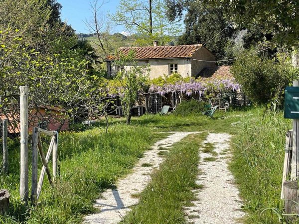 appartamento in vendita a Montescudaio
