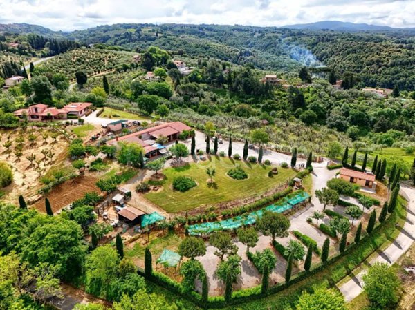 casa indipendente in vendita a Montescudaio