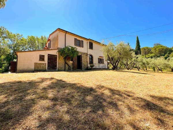 casa indipendente in vendita a Montescudaio