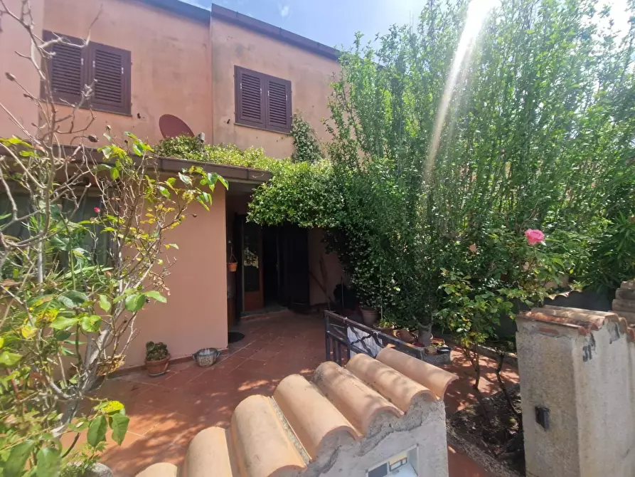 casa indipendente in vendita a Montescudaio